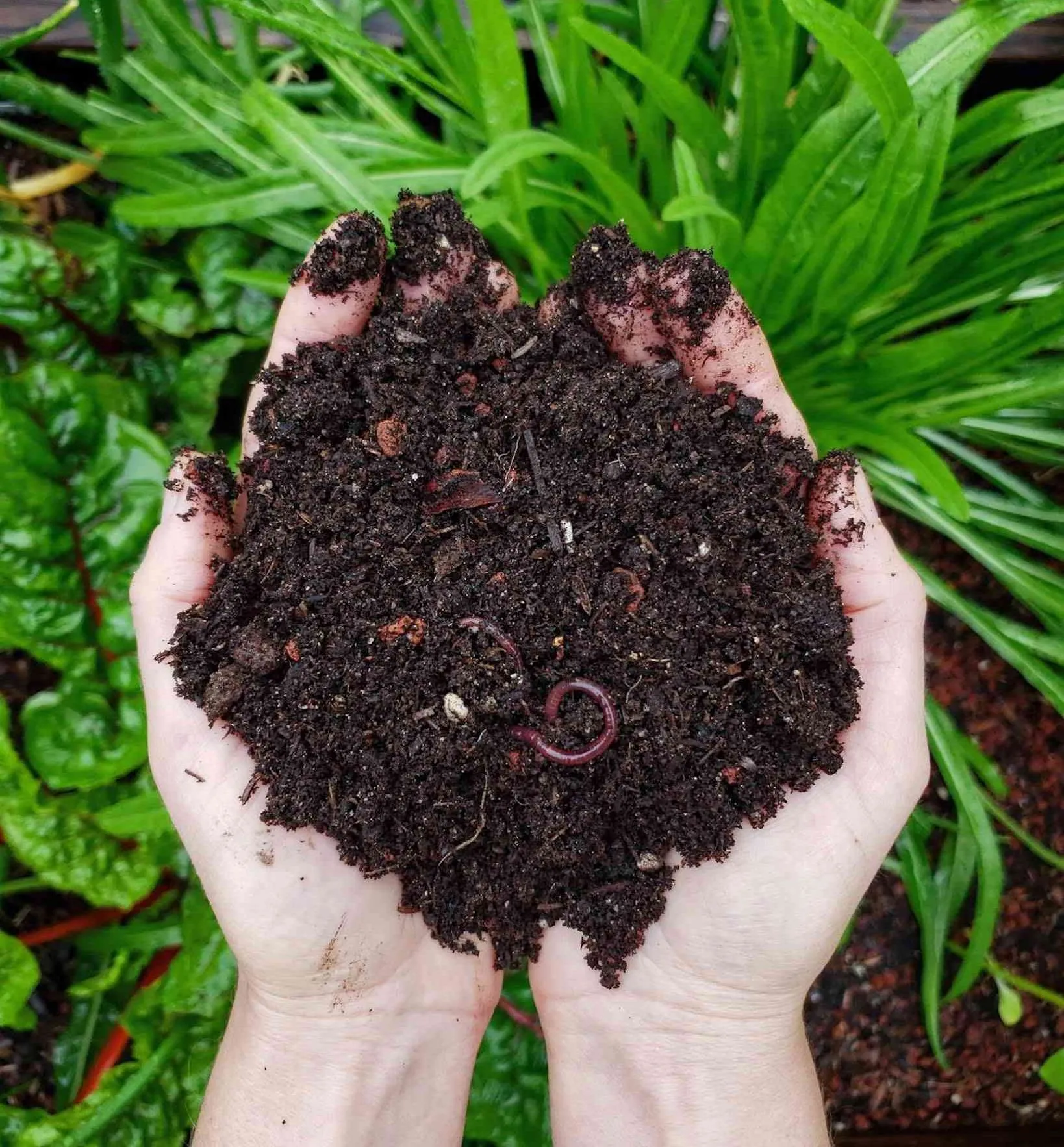 Composting 101 Syosset Public Library