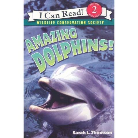 Amazing Dolphins book cover.