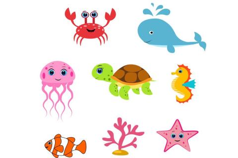 Various ocean aniimals.