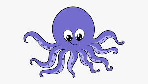 Octopus