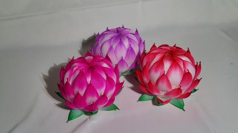 Lotus lantern