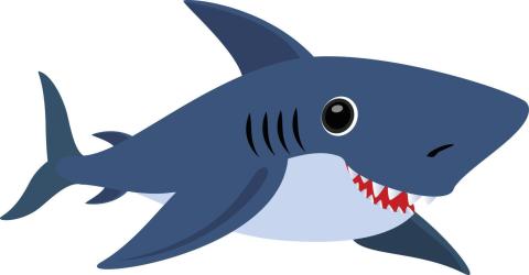 Shark clipart 