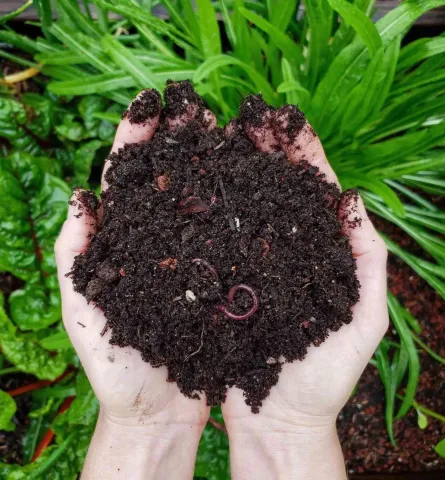 Two hands holding dirt, grass in the background of picture.