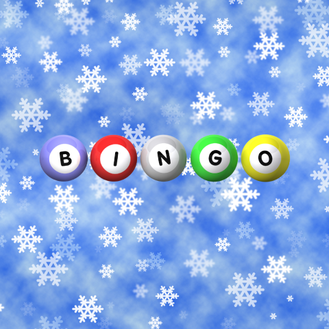 Bingo spelled out on snowy backdrop