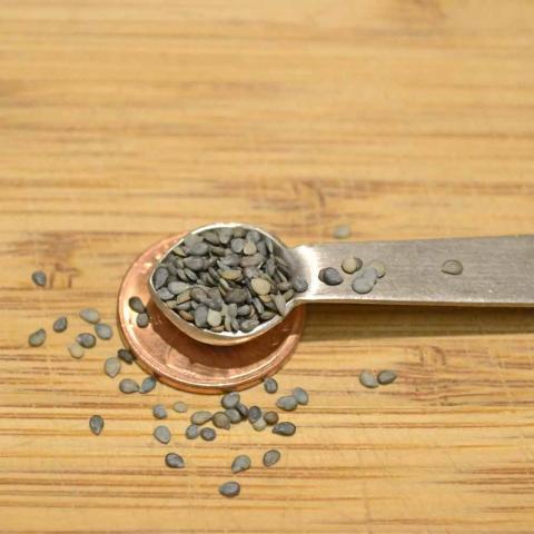 A measuring spoon with seeds in it