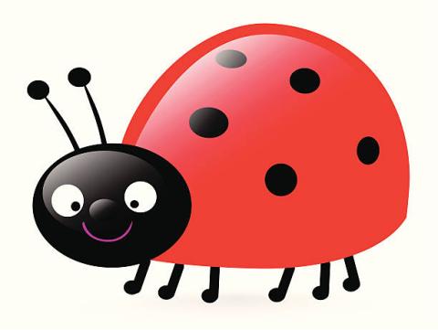 Ladybug clipart