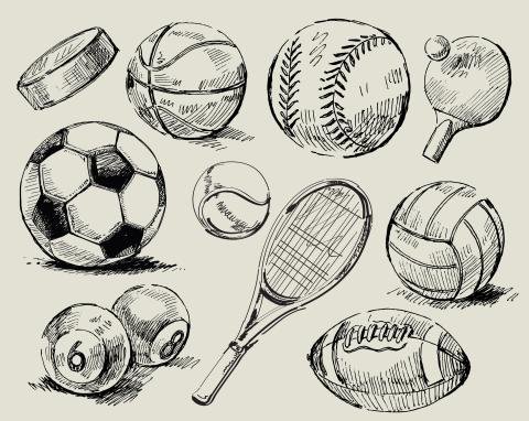 adult sports balls