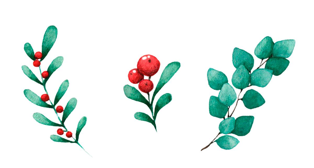 Berries