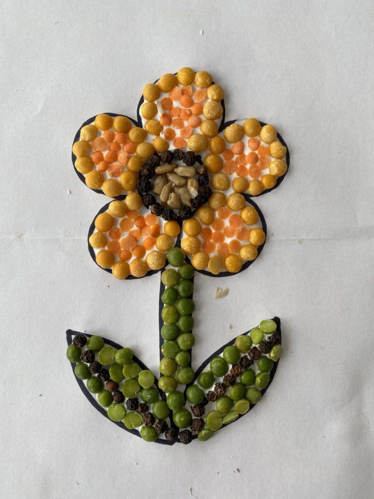 art made with beans
